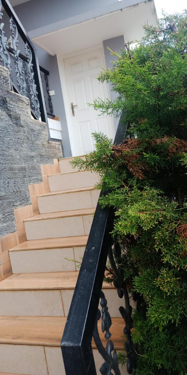 Aanvis Inn Ooty Esterno foto