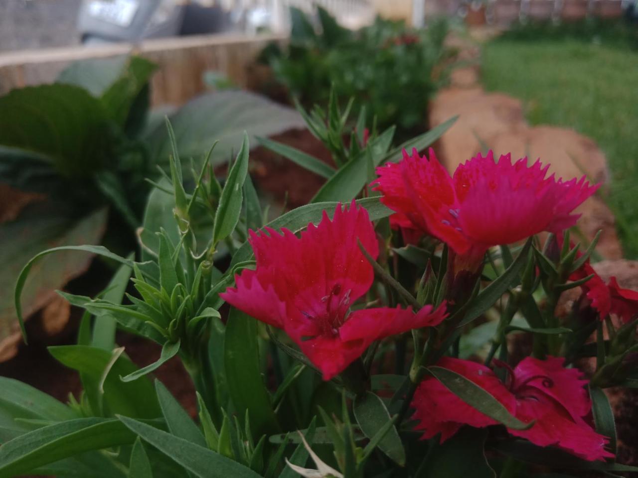 Aanvis Inn Ooty Esterno foto